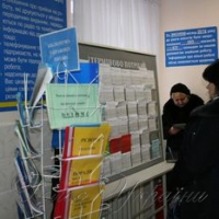 Завдяки безробітним - плюс 418000 саджанців лісу!