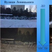 Місто Лева очистили від сміття