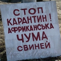 2-й спалах АЧС на Херсонщині
