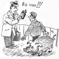 Як не наразитися на «африканку»