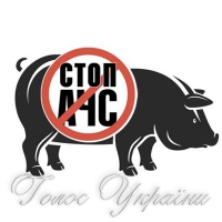 Африканська чума докотилася до парламенту