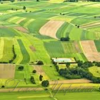 Посівна у Таврії буде <<солодкою>>!..
