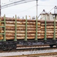 Закарпатці благають не експортувати ліс-кругляк