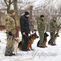 Хмельниччина: розкрити 700 злочинів допомогли… собаки
