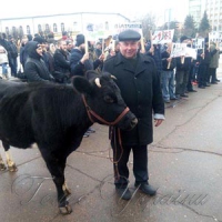 «Нашим дітям — наше м’ясо!»