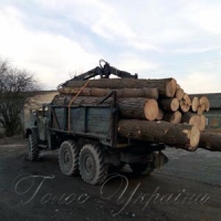 Розкрадають,  аж друзки летять