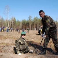 Саджають ліс для нащадків