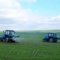 Стартували не всі