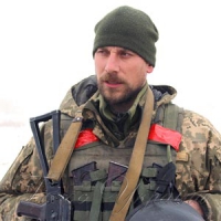 Відтінки сірої зони