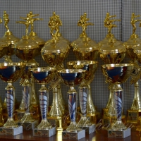 Школярі позмагалися у рукопашних поєдинках