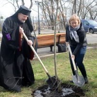 Алеї миру з’являться в Донецькій і Луганській областях