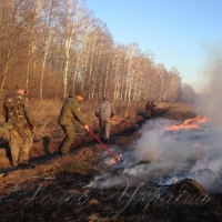 Лісова охорона посилила патрулювання, щоб уникнути самовільних підпалів