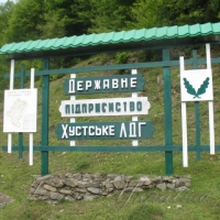 І будуть шуміти дубові гаї!