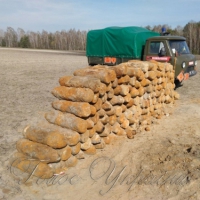 Відлуння світових воєн