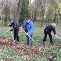 У день благоустрою в Рівному посадили 50 дубів, у Клевані - 250 горобин та кленів