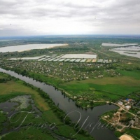 Майже 400000 щук кинули в річку