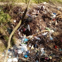Лише в одному селі Тернопілля 10 стихійних звалищ