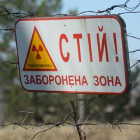 Мозок отримував сигнал: небезпека! Але було не до цього