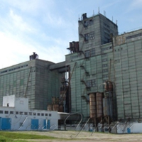 ...директор елеватора продав чужу кукурудзу