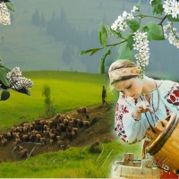 <<Черемшину>> співали всім залом