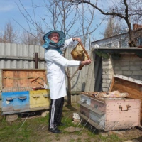 Подолати страшну хворобу допомогли... бджоли