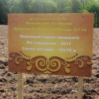 З горіха <<міцні>> дивіденди отримати непросто