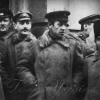 1917-й: колиска національних армій