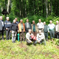 Лісівники Європи вивчали наш досвід