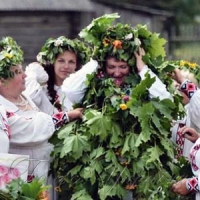 У Сварицевичах на Рівненщині «водили куста»