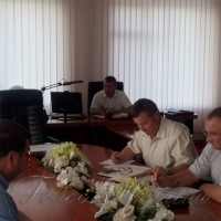 Гречки посіяли вдосталь