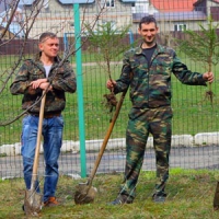 Біля дитсадка шумітимуть дерева