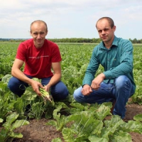 Чоловіки, на яких усе й тримається
