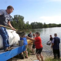 У сільських ставках з’явилися товстолобик і короп