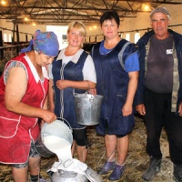 Камбурліївське молоко претендує на «шенгенську візу»