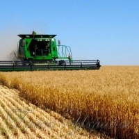 У засіках — двадцять два мільйони тонн!