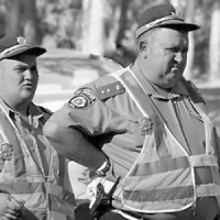 СІМ МІШКІВ ГРЕЧАНОЇ ВОВНИ