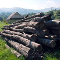 Кругляк мандрує далі