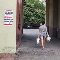 СІМ МІШКІВ ГРЕЧАНОЇ ВОВНИ