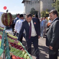 До побратимів яблука смакувати  і досвіду набувати