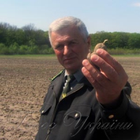 Господаря видно по його... лісу