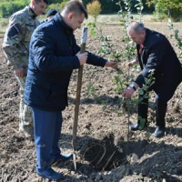 Провели історичну реконструкцію бою УПА