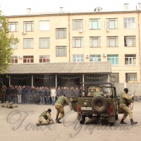 Хочуть служити в елітних військах