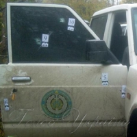 На Київщині вбили Аміну Окуєву