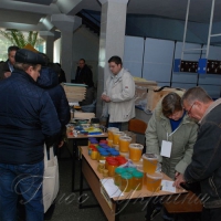 ...місто на два дні стало медовою столицею