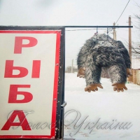 Єті... клюнув?