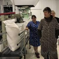 Цукровому заводу дав життя «Агро-Експрес-Сервіс» Сергія Костючка