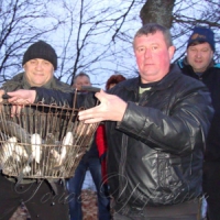 Який же Короп без риби?