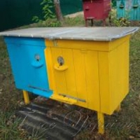 Бджолярі повинні об’єднатися 