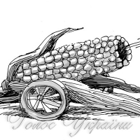 Припиніть сипати на голову... лушпиння