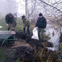 Клопотів завдають бобри